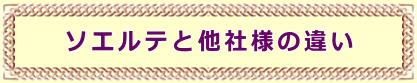 \GeƑЗl̈Ⴂ