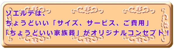\GéA 傤ǂuTCYAT[rXApv u傤ǂƑvIWiRZvgI ቿirWlXł͂Ȃ̂ňSI